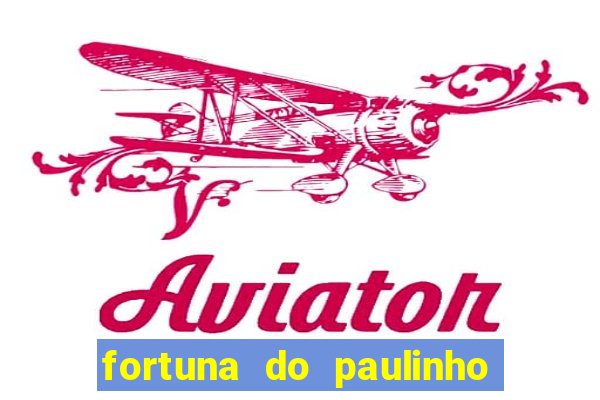 fortuna do paulinho do roupa nova